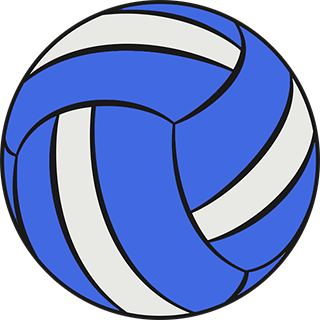 volleyball blue and white