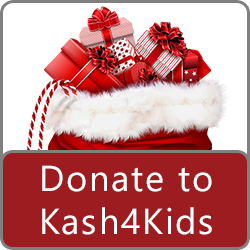 kash4kids donate button